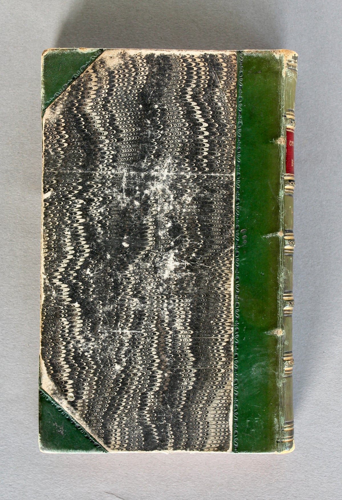 Conversations on Botany — Fitton. Eighth Edition (1834)