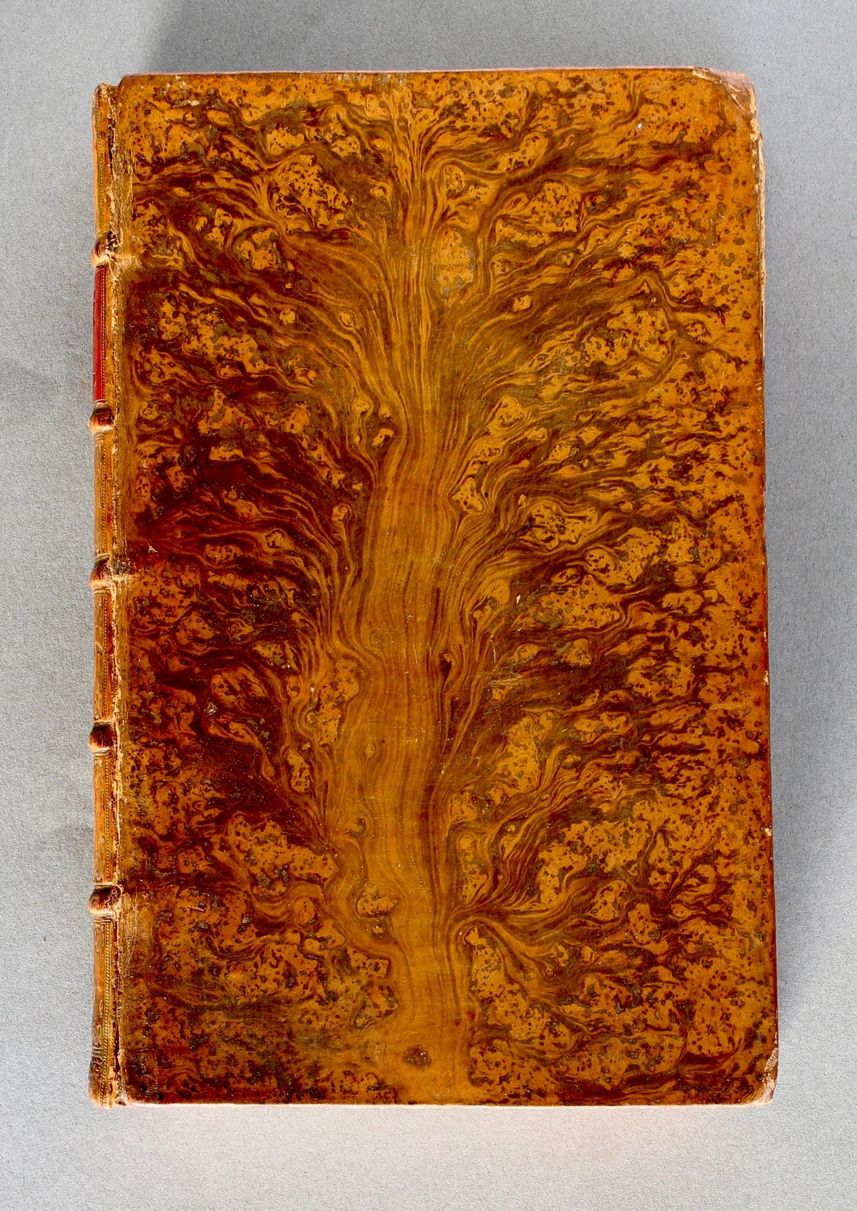 18th Century (1700–1799)