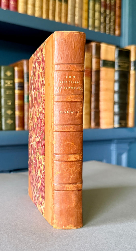 DARWIN, Charles. The Origin of Species. Sixth edition, forty-first thousand. London, 1891.