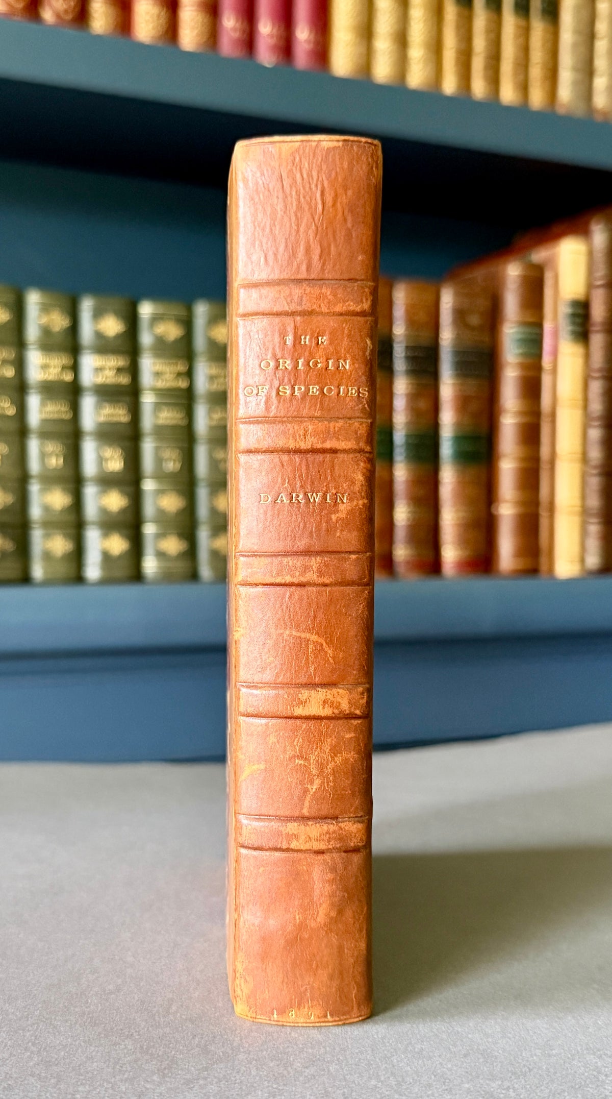DARWIN, Charles. The Origin of Species. Sixth edition, forty-first thousand. London, 1891.