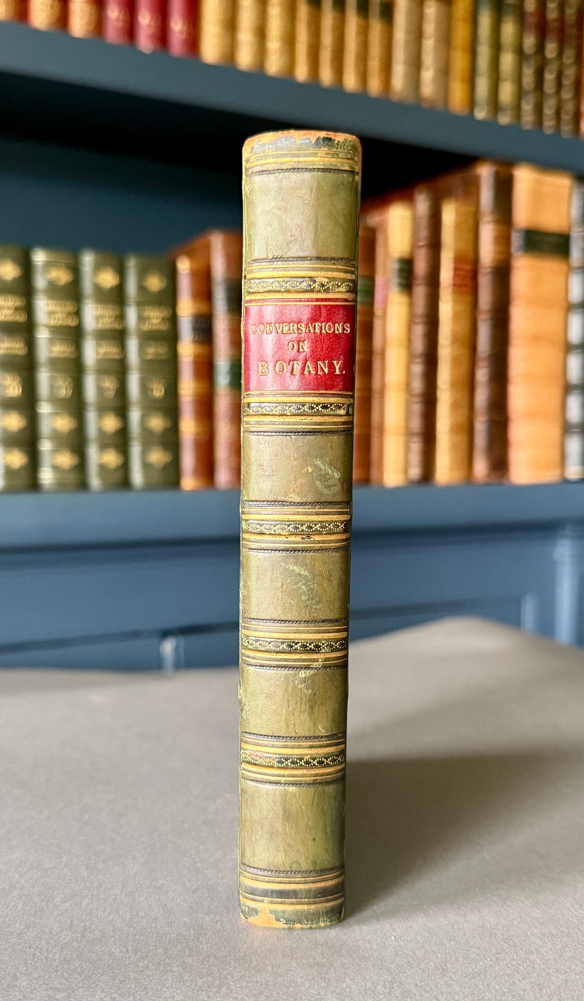Conversations on Botany — Fitton. Eighth Edition (1834)