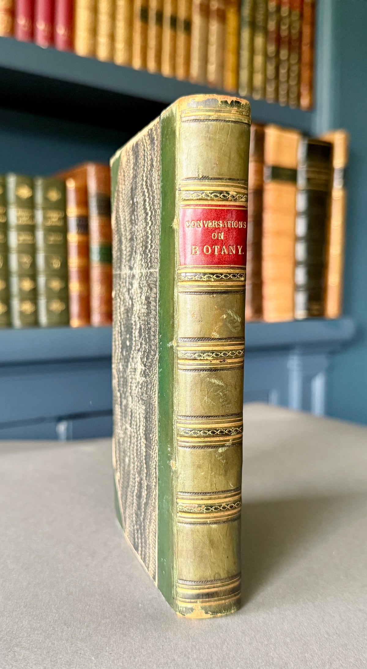 Conversations on Botany — Fitton. Eighth Edition (1834)