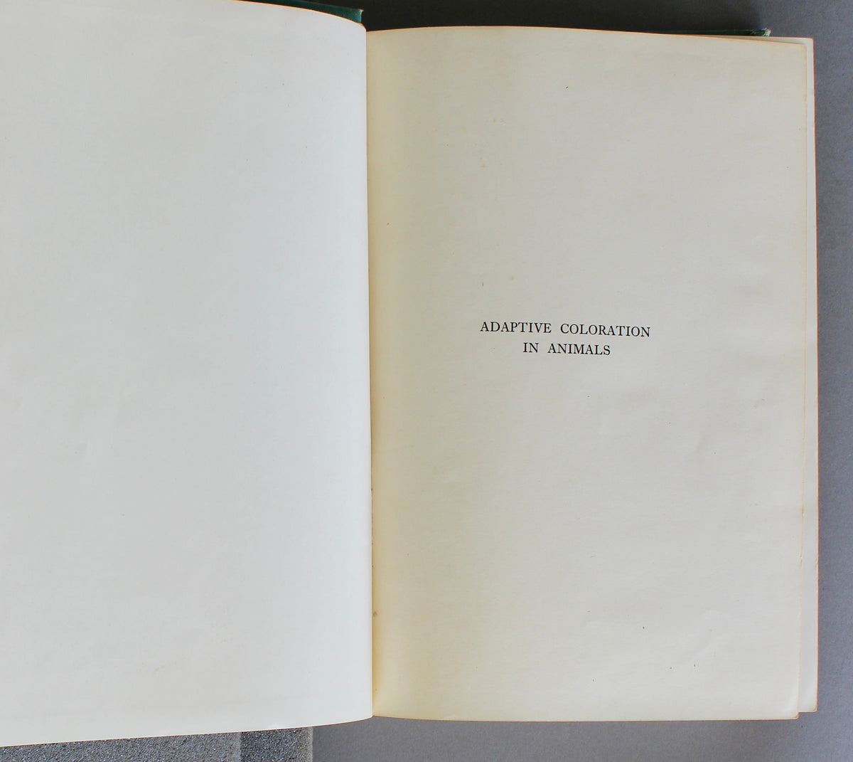 Adaptive Coloration in Animals — Hugh B. Cott (1940)