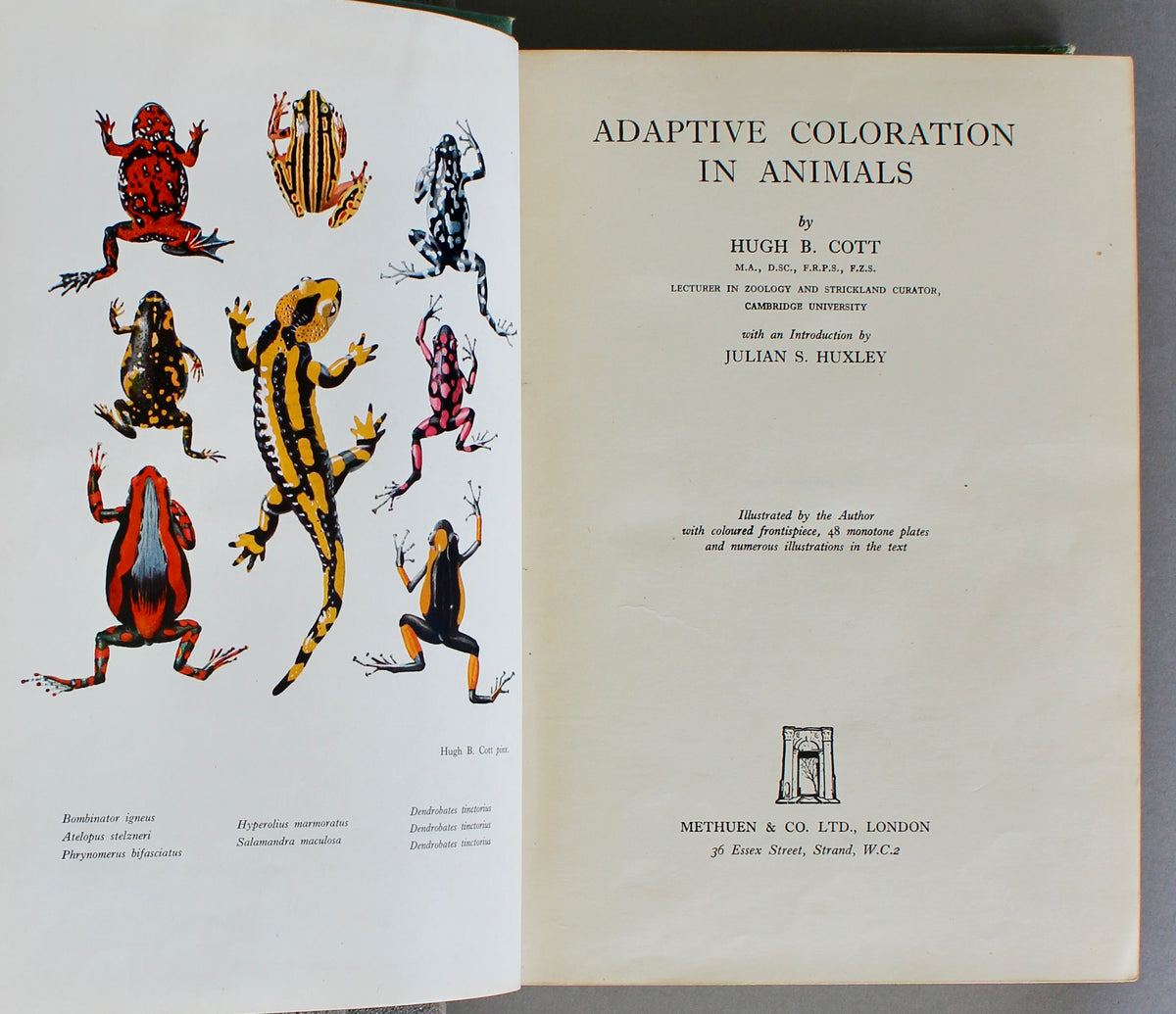 Adaptive Coloration in Animals — Hugh B. Cott (1940)