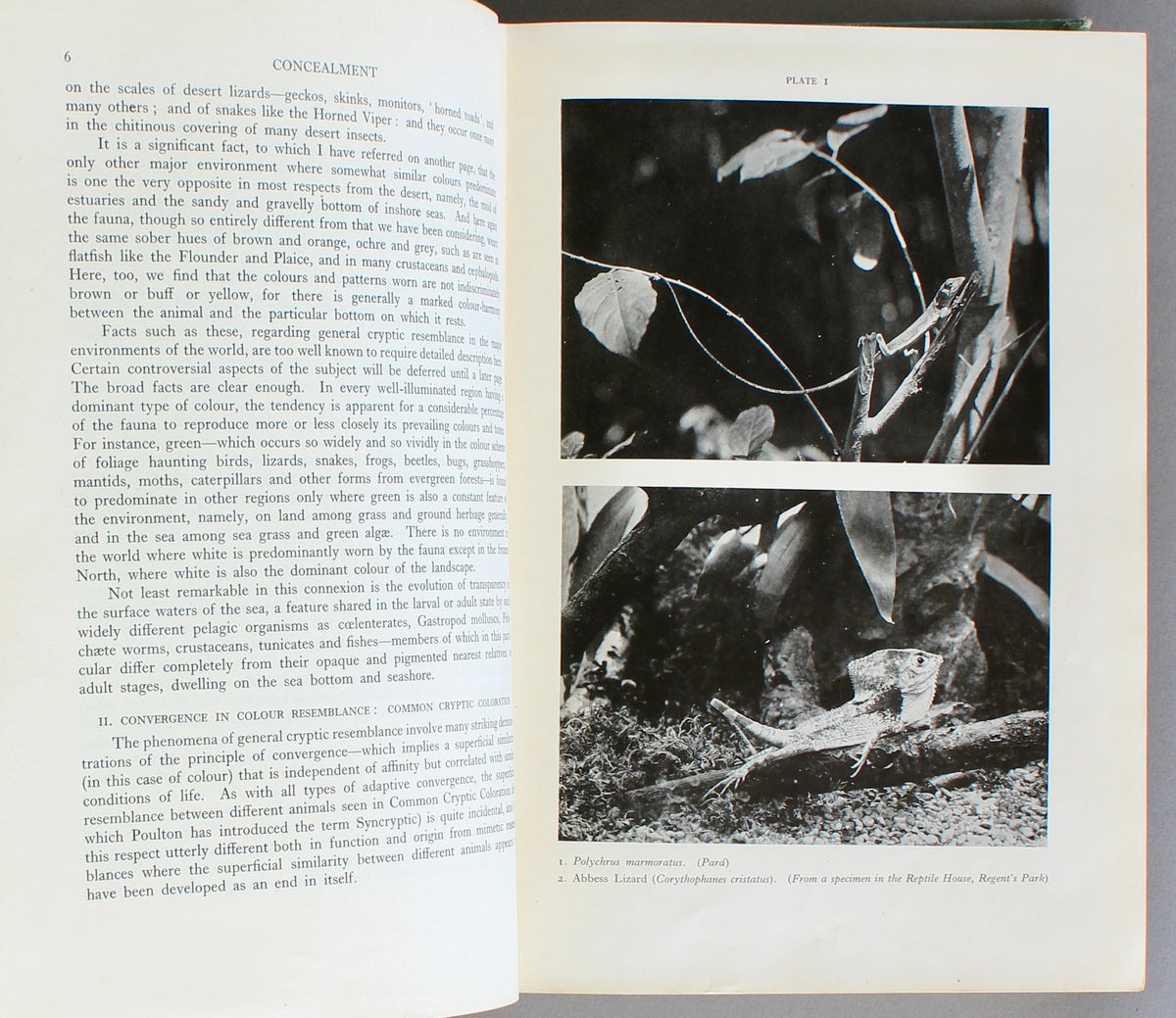 Adaptive Coloration in Animals — Hugh B. Cott (1940)