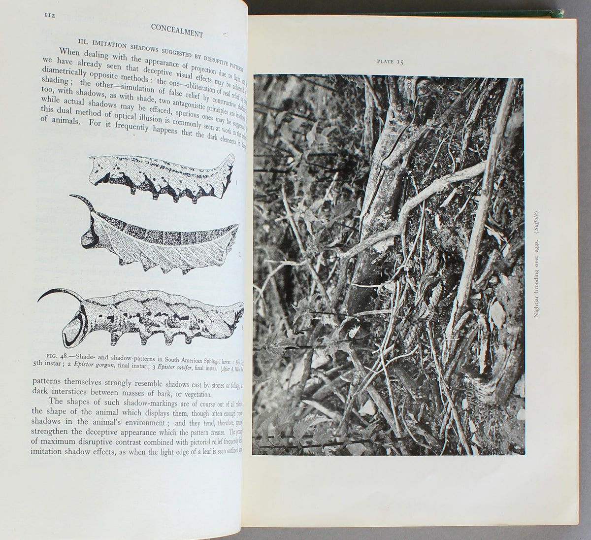 Adaptive Coloration in Animals — Hugh B. Cott (1940)