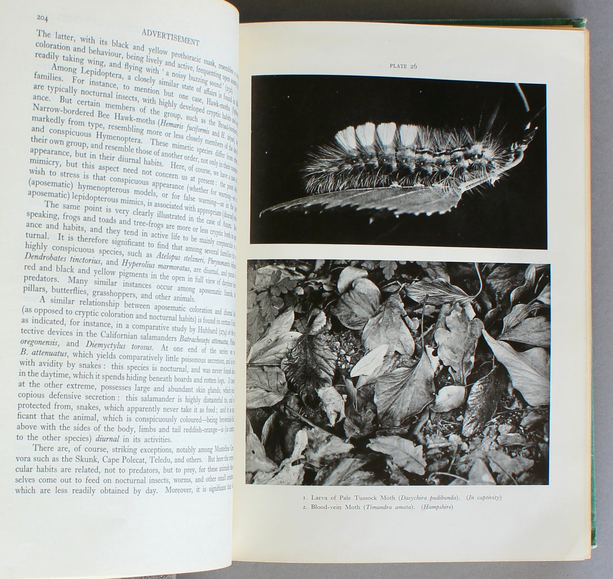 Adaptive Coloration in Animals — Hugh B. Cott (1940)