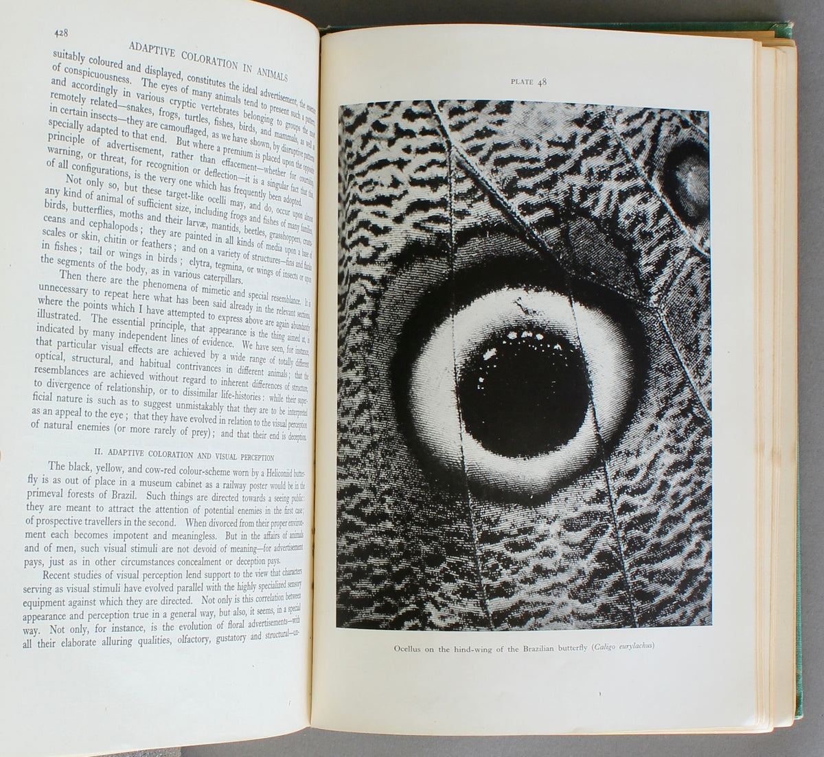 Adaptive Coloration in Animals — Hugh B. Cott (1940)