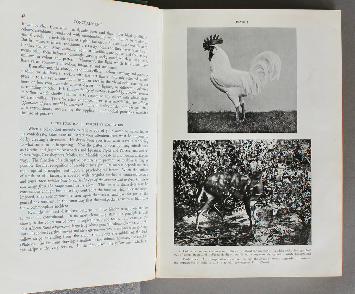 Adaptive Coloration in Animals — Hugh B. Cott (1940)