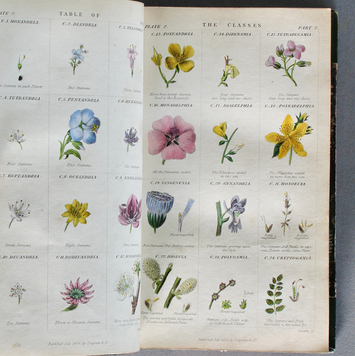Conversations on Botany — Fitton. Eighth Edition (1834)