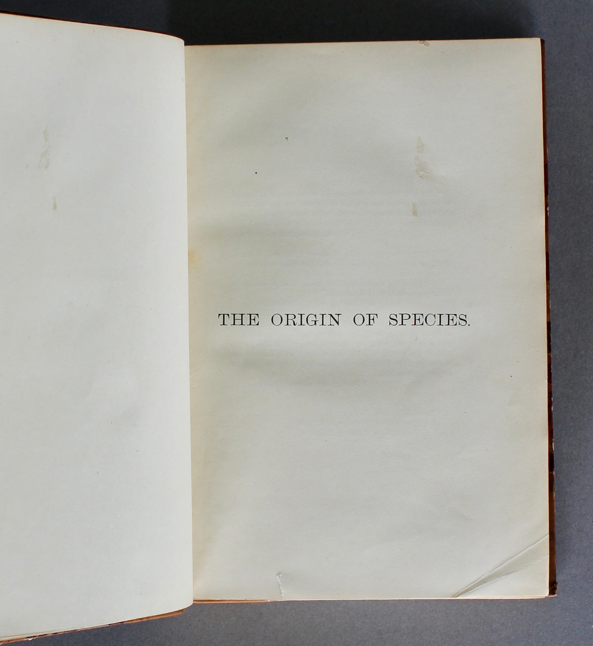 DARWIN, Charles. The Origin of Species. Sixth edition, forty-first thousand. London, 1891.