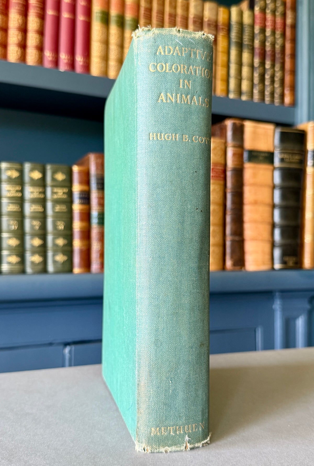 Adaptive Coloration in Animals — Hugh B. Cott (1940)