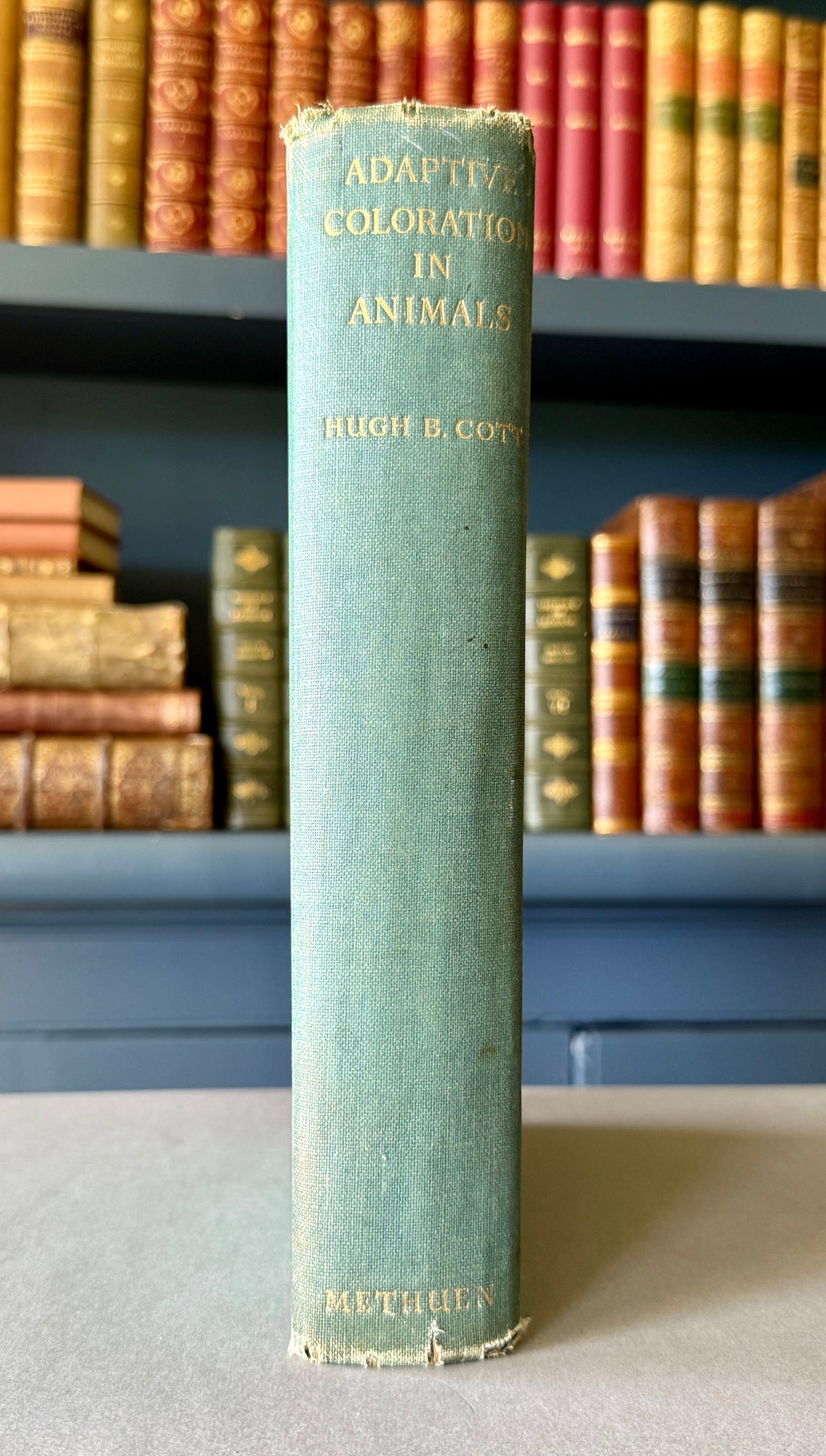 Adaptive Coloration in Animals — Hugh B. Cott (1940)